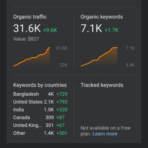 Portfolio Title